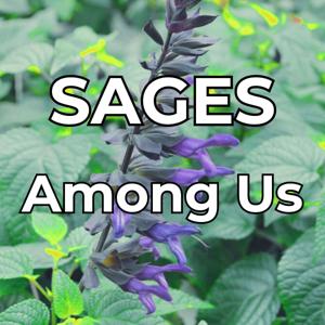 Sages Among Us