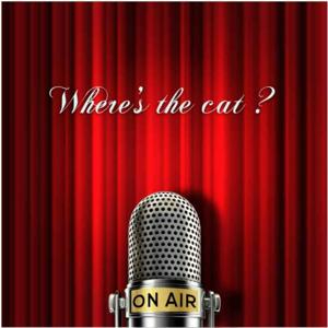 Where's The Cat?