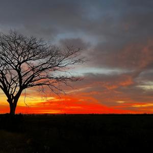 Goodness of God in the land of Mexico