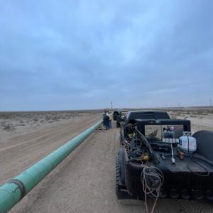 Bible Study With A Green