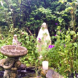 WISE WOMAN’S COTTAGE - RECEIVE THE DAILY BLESSING LIGHT