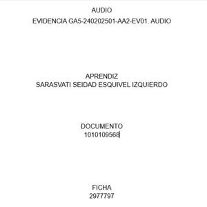 EVIDENCIA GA5-240202501-AA2-EV01. AUDIO