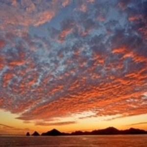 Transforming Struggles