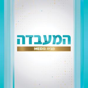המעבדה