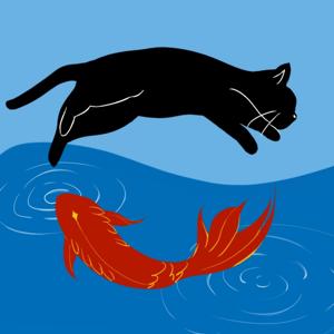 锦鲤与猫
