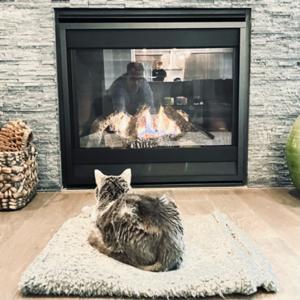 Die Katze vorm Kamin - By Kluge & Topmöller