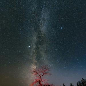 A nation forged in fire