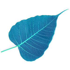 AudioDharma: Ying Chen, 陈颖's most recent dharma talks