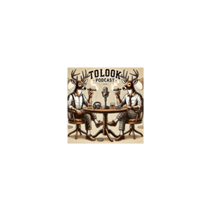 The Tolook Podcast