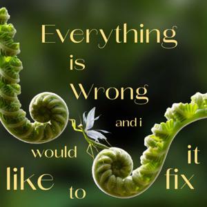 Everything is Wrong and I Would Like to Fix It.
