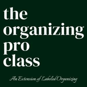 The Organizing Pro Class
