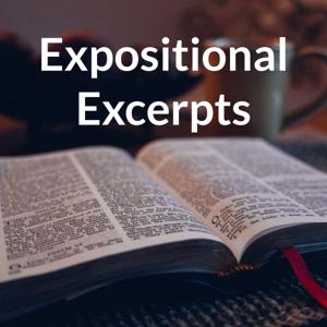 Expositional Excerpts