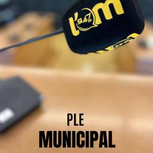 Ple Municipal