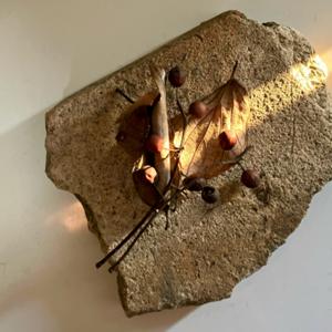 美味しいと美しい　日々のこと