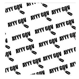AYYY GOV PODCAST
