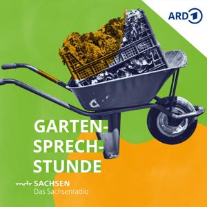 MDR SACHSEN Gartensprechstunde