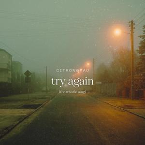 try again (the whistle song)
