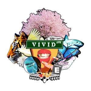 VIVID AVE.