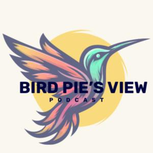 Bird Pie's View