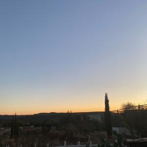 Rata De Dos Patas