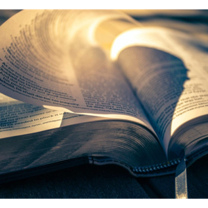 The Holy Bible - English