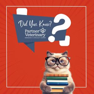 Did You Know? An All Things Partner Podcast.