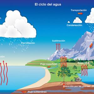 Explorando El Ciclo Del Agua