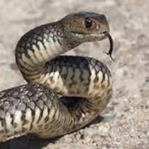 multifamily – Houstonius