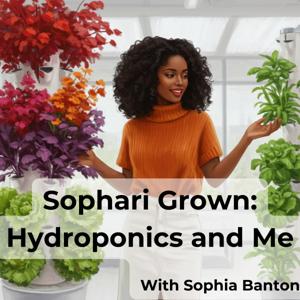 Sophari Grown: Hydroponics and Me
