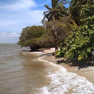 Contaminación en Ciudad del Carmen