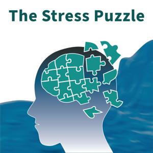 The Stress Puzzle