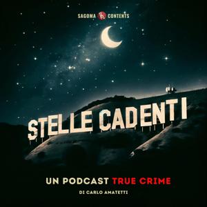 Stelle cadenti