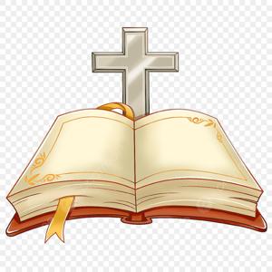 Tempo Ordinario 2025