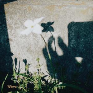 はなまるリハビリ治療院