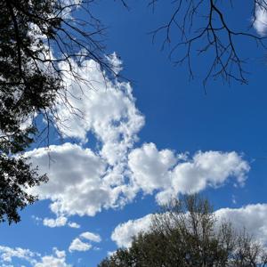 星哥的圣经频道