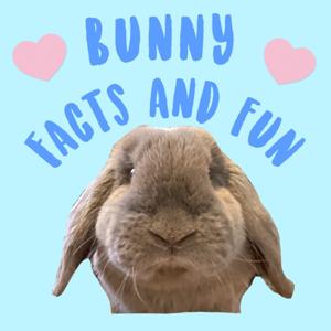 Bunny Facts and Fun