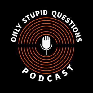 Only Stupid Questions