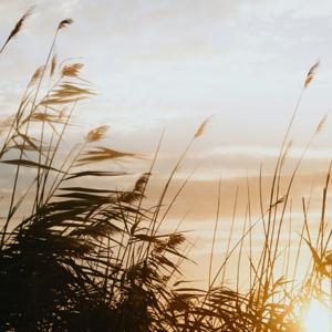 Ep 1: violencia contra las mujeres