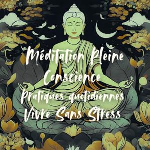 Méditation Pleine Conscience - Pratiques quotidiennes Vivre Sans Stress