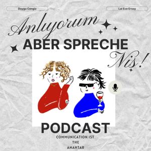 Anlıyorum Aber Spreche Niş!