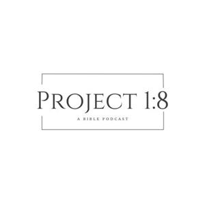 Project 1:8