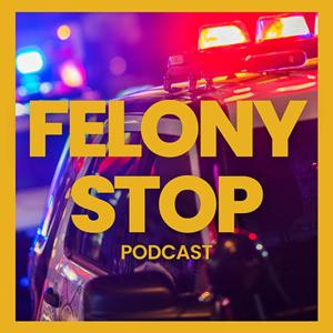 Felony Stop