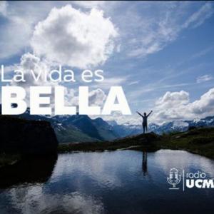 LA VIDA ES BELLA