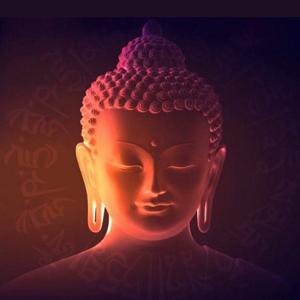 Cuộc Sống Nhìn Từ Ô Cửa Thiền