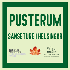 Pusterum