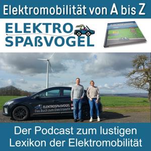 Der Elektrospaßvogel: Elektromobilität von A bis Z - Das umfangreichste Lexikon rund um Elektroautos