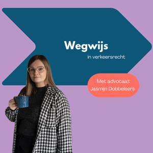 Wegwijs in verkeersrecht