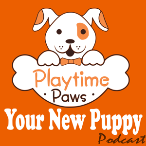 Your New Puppy