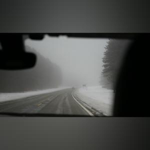 daytime_woods