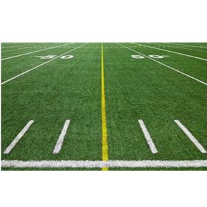 The Football Frame of Mind Podcast